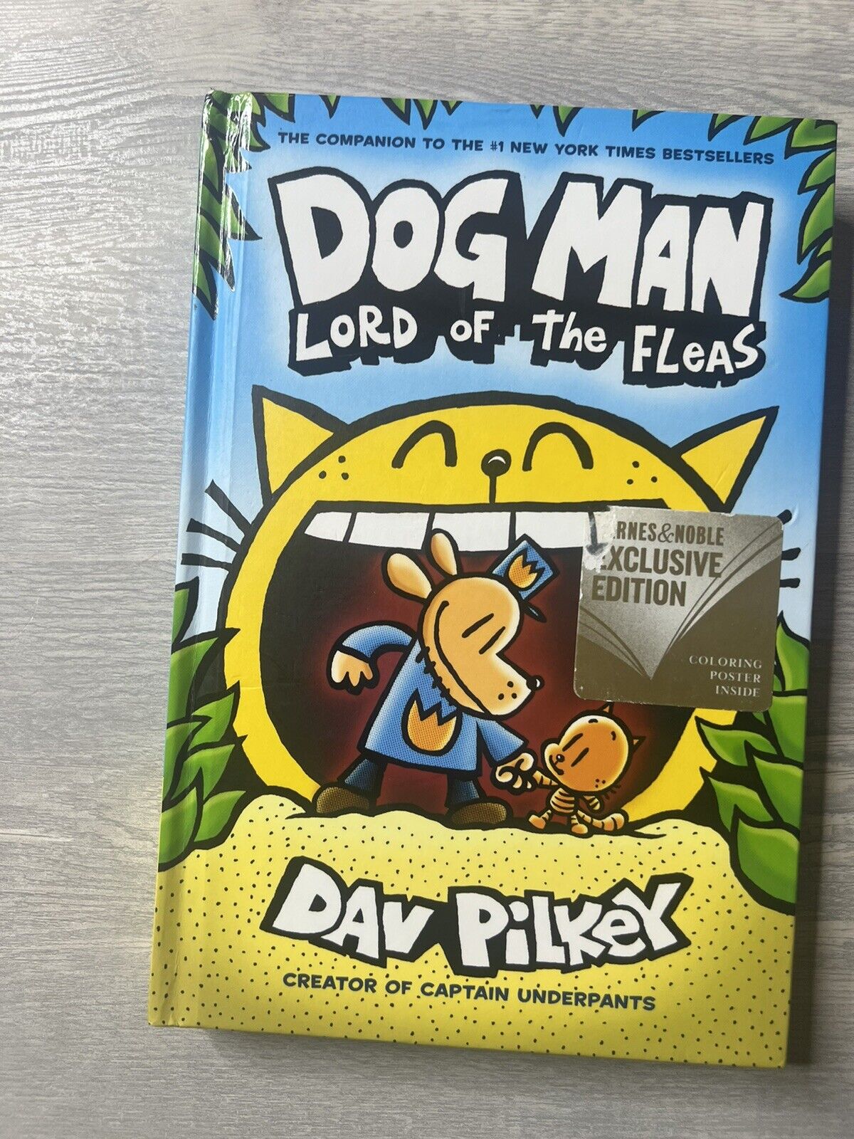 Dog Man Ser.: Dog Man: Lord of the Fleas