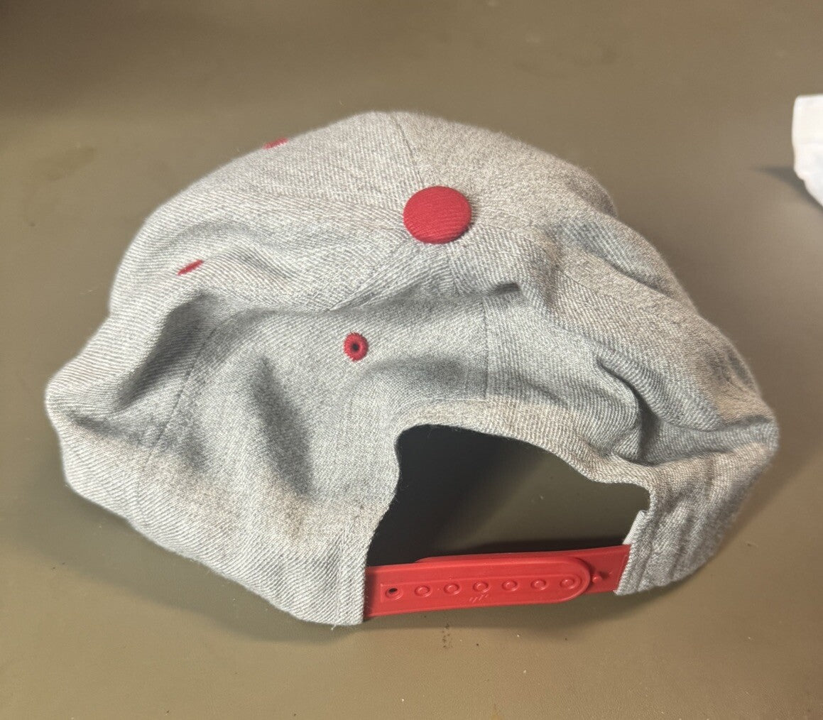 The Tailgate With A Cause Snapback hat cap The Classics