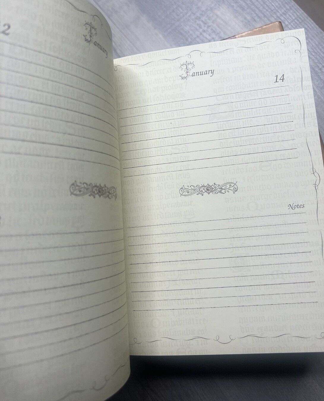 Robert Frederick Photo Album And Journal / Daily Diary - Boxed Set