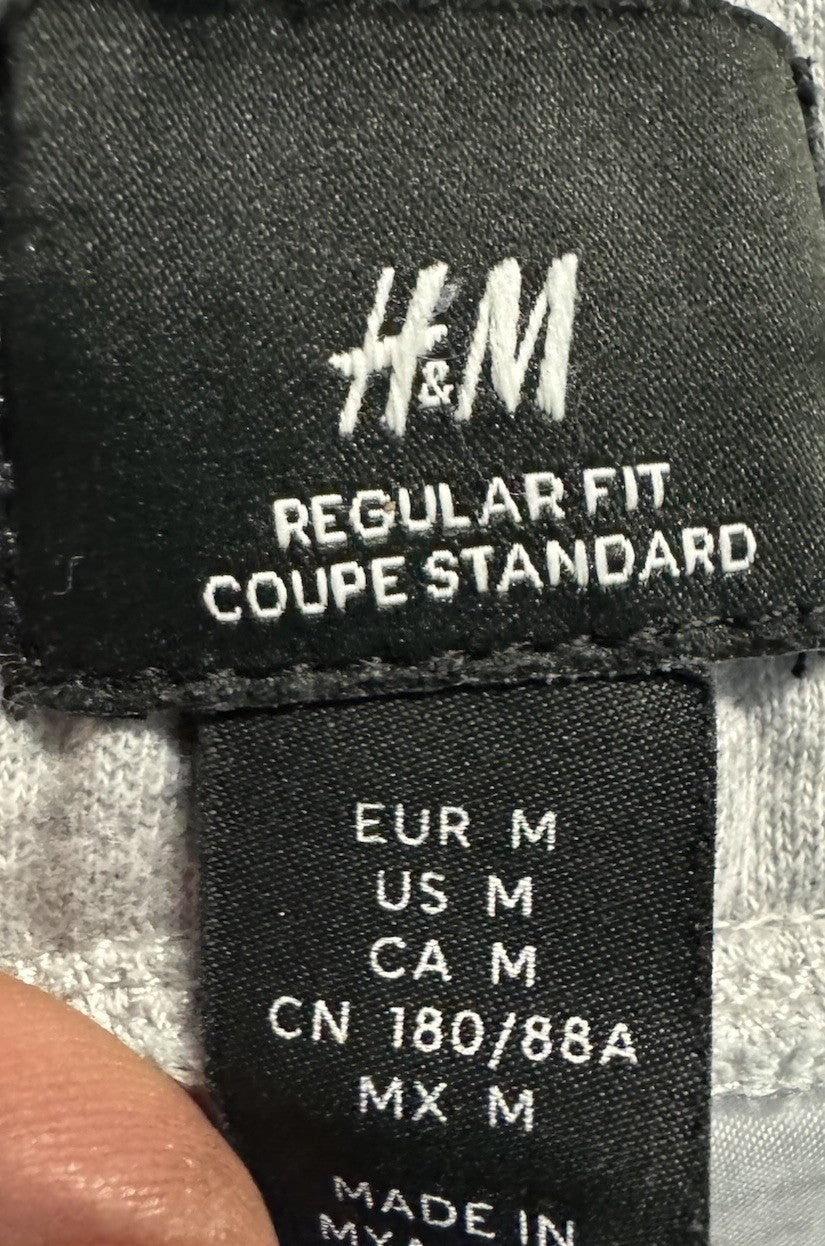H&M Shorts Mens Medium Gray Drawstring Pockets Sweats Pull On Casual