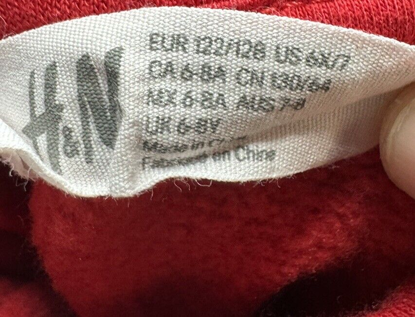 Boys H&M Tiger Hoodie Size 6X/7