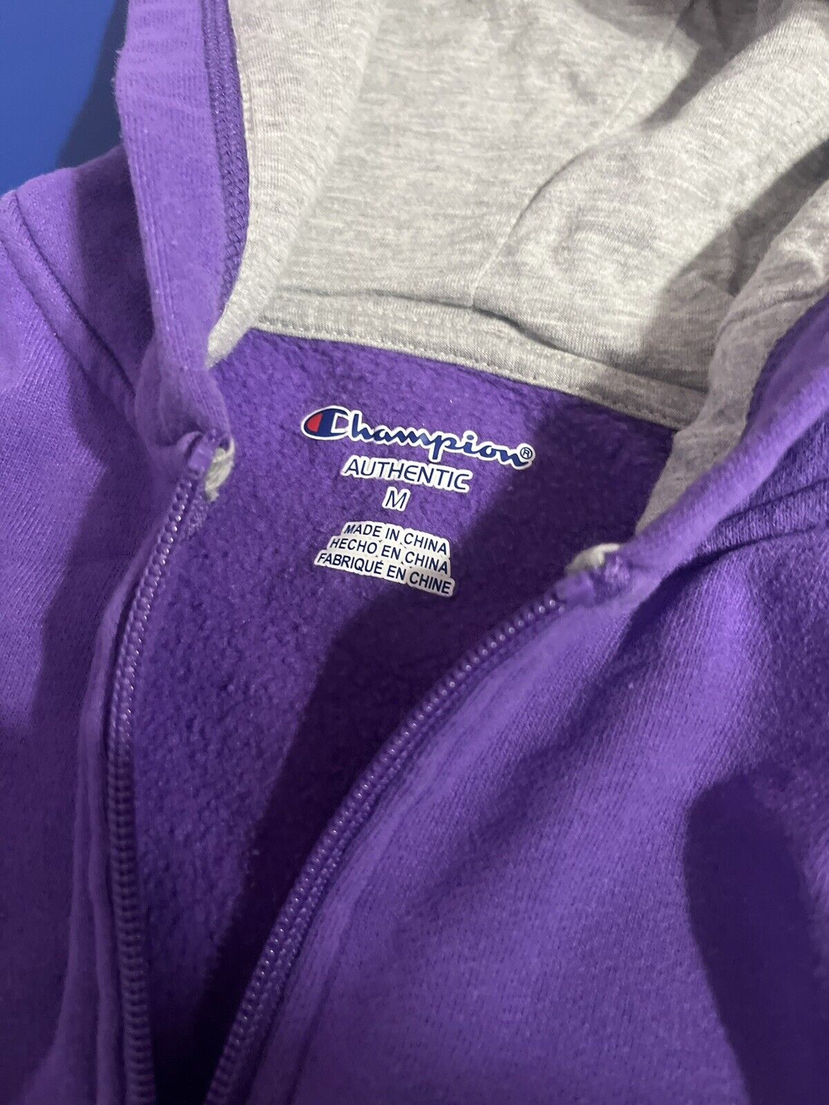 Champion Girls Hoodie, Purple, Girls Size Medium, Gray Inside, Zip Up With Pocke