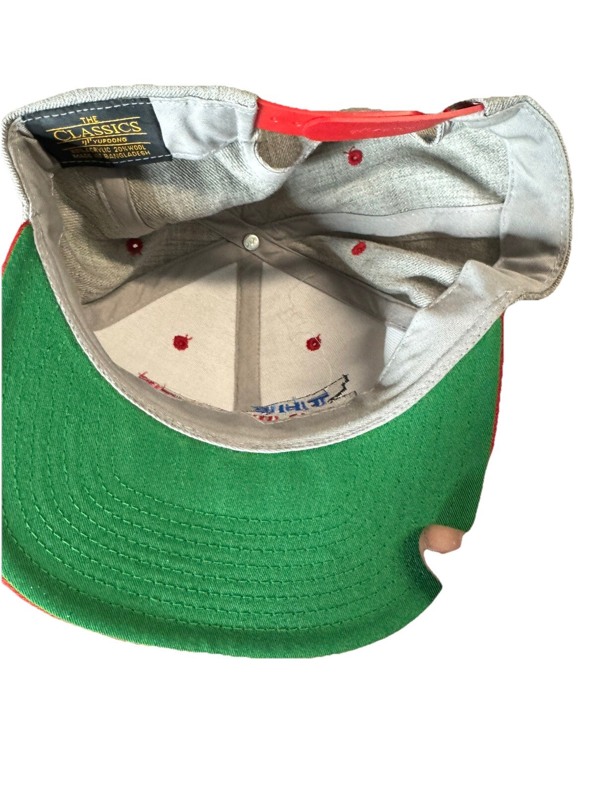 The Tailgate With A Cause Snapback hat cap The Classics