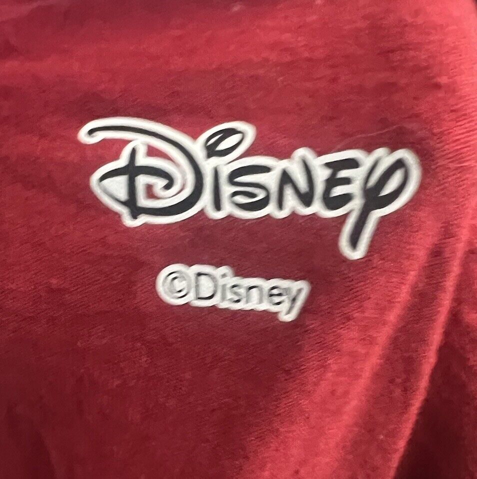 Timon & Pumbaa No Worries Disney Men's Short Sleeve T-Shirt Large