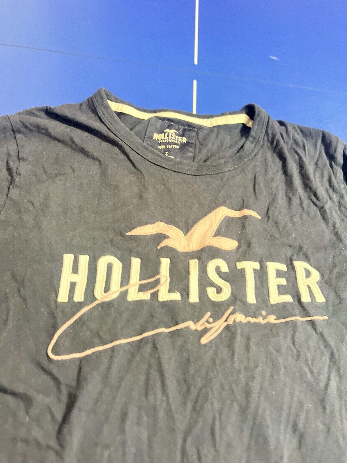 Hollister California T-Shirt Girls Small Black Heather Short Sleeve Crew Neck