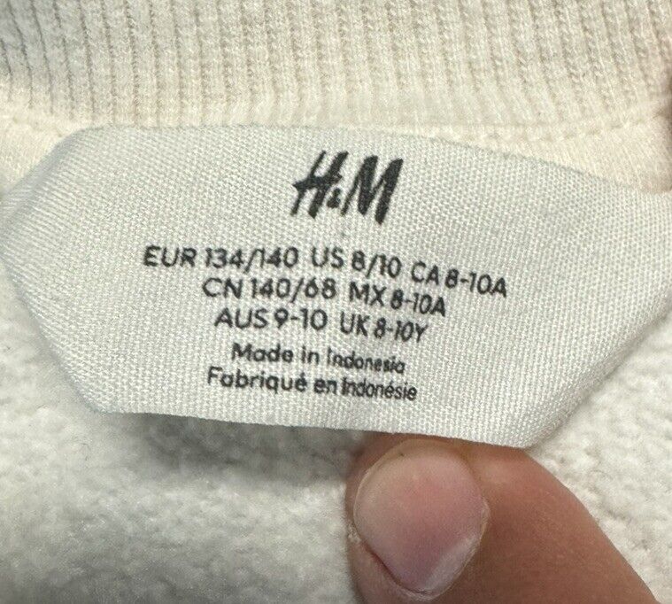 H&M Boys Dinosaur T-Rex Sweatshirt 8-10 Years