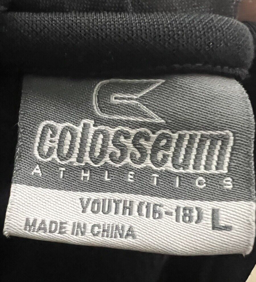 Michigan Youth Hoodie Size Large Sweatshirt Classic