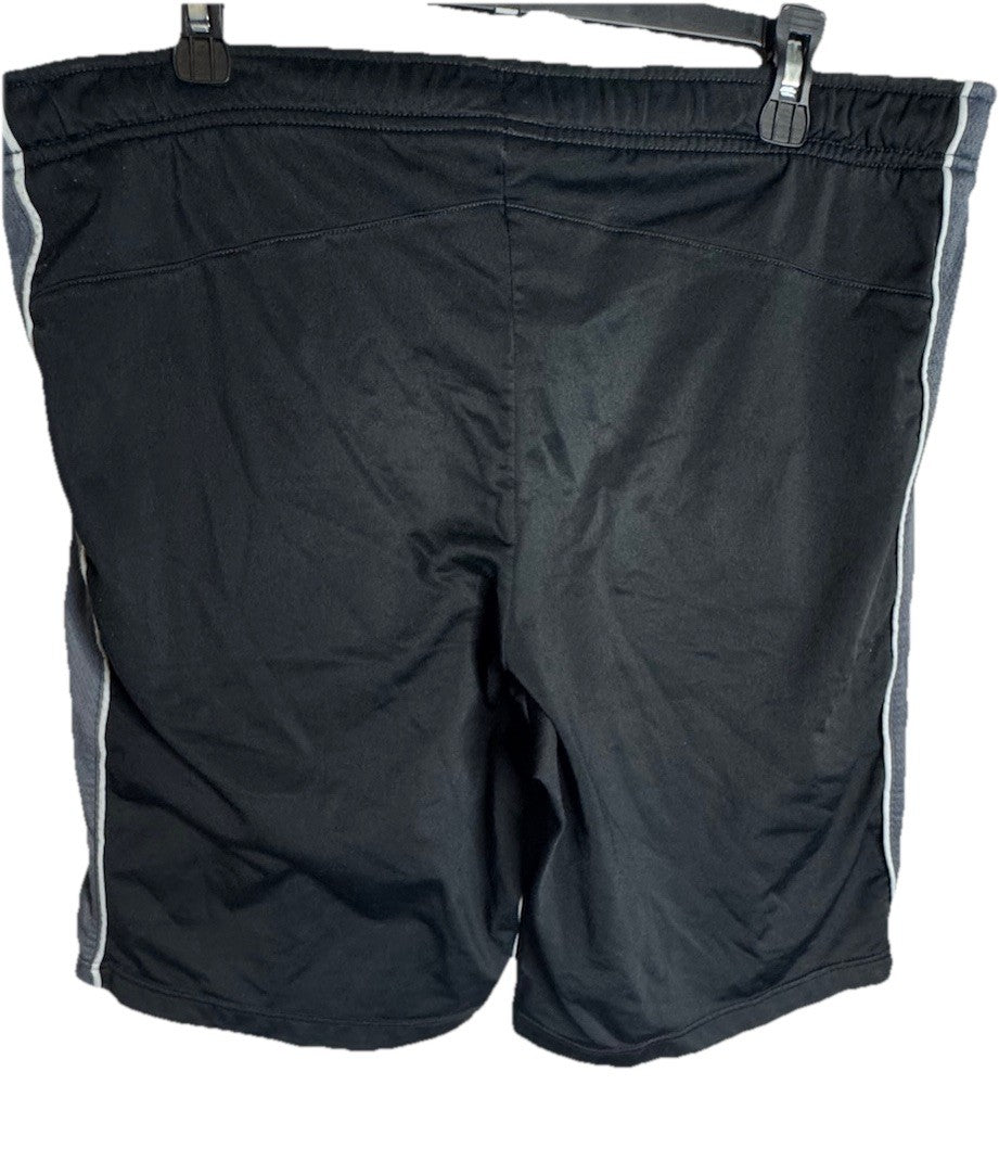 Nike Dri-FIT Men's Large Shorts