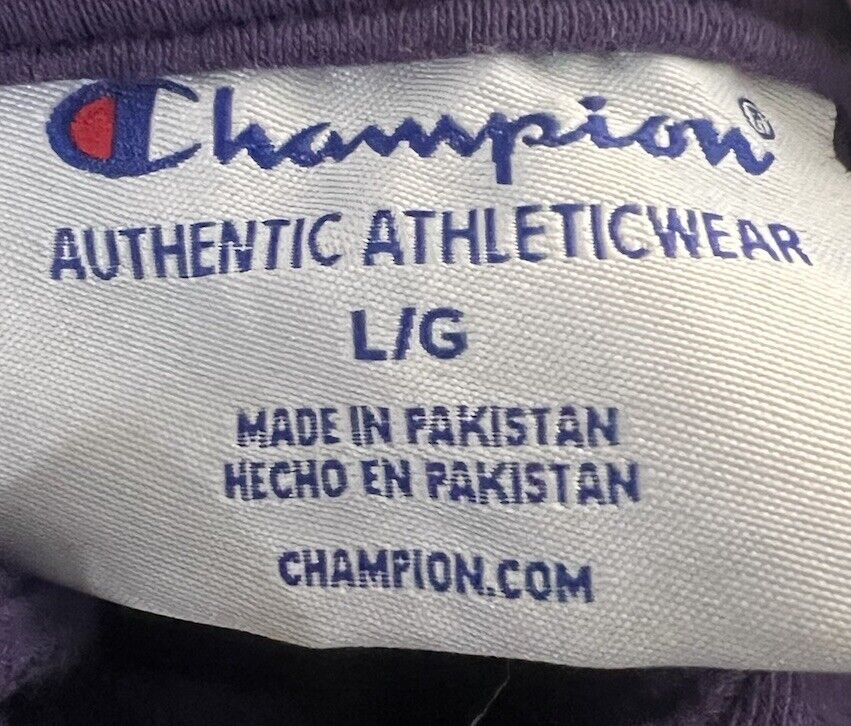 Champion Men's Lightweight Hoodie Stretch Pullover Logo Shirt Athletic Gym Wear
