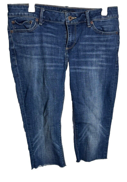Lucky Brand Jeans women's 8/29 Sophia straight blue denim pants retro