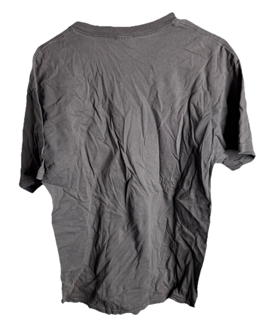 Vintage TKE Sweetheart Beta Fraternity Tee Shirt Size Large
