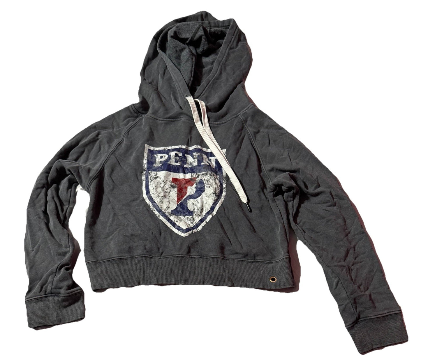 Penn Women Cropped Hoodie XS