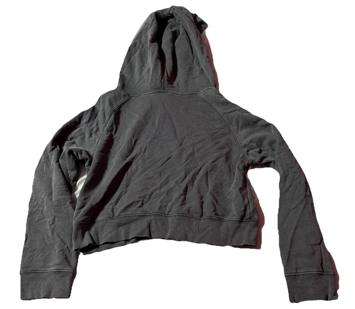Penn Women Cropped Hoodie XS