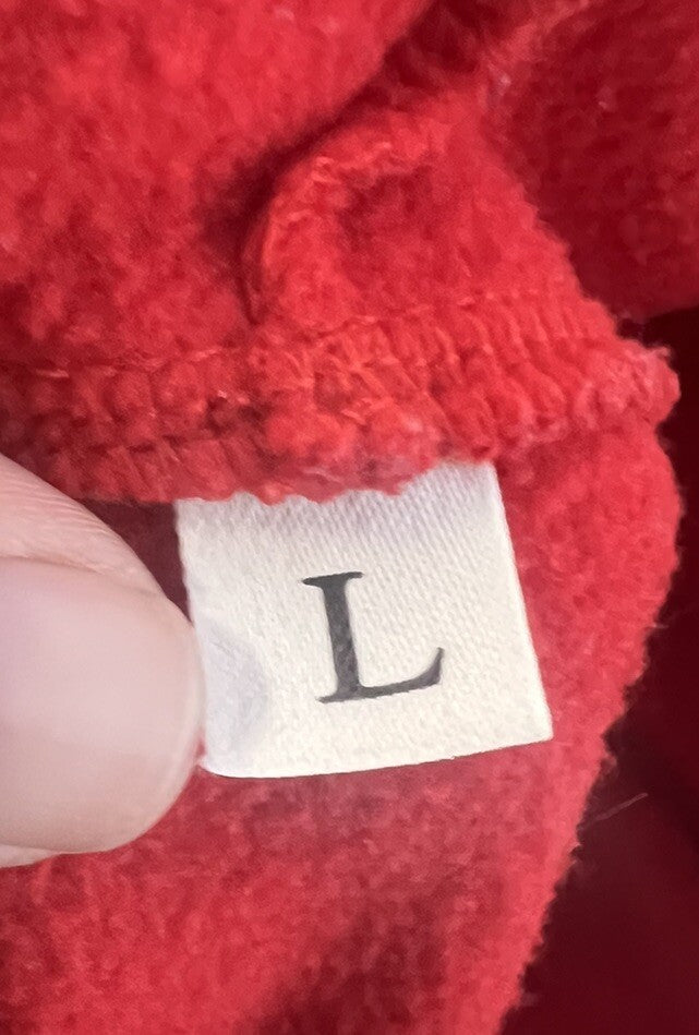 Texas Hoodie Size Large