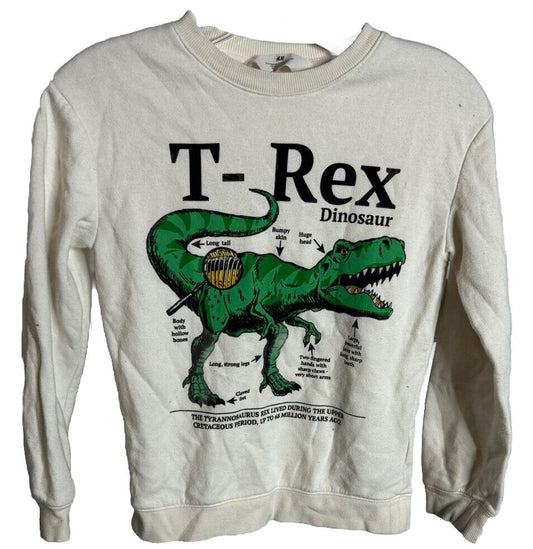 H&M Boys Dinosaur T-Rex Sweatshirt  8-10 Years