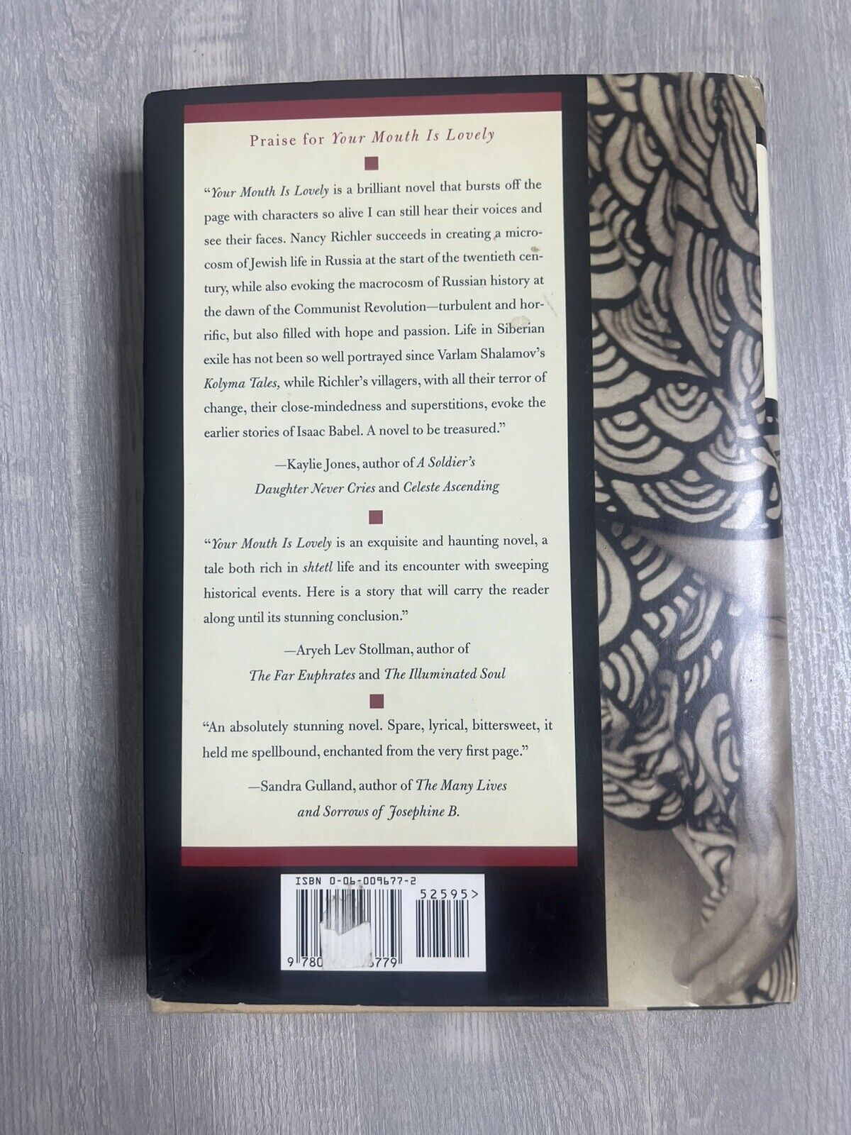 YOUR MOUTH IS LOVELY: A NOVEL By Nancy Richler - Hardcover *l